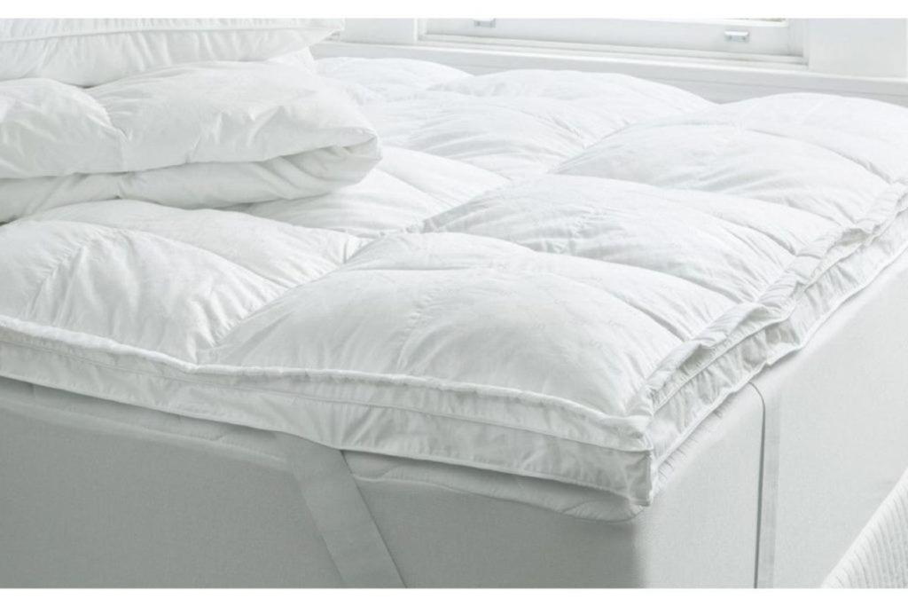 볼로냐 La Finestra Sulla Fiera B&B 외부 사진